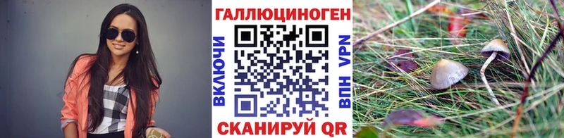 mega зеркало  Новоалександровск  Галлюциногенные грибы Cubensis 