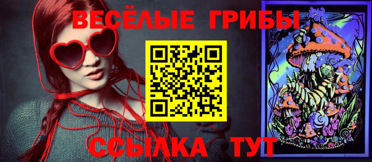 Галлюциногенные грибы Psilocybe Новоалександровск